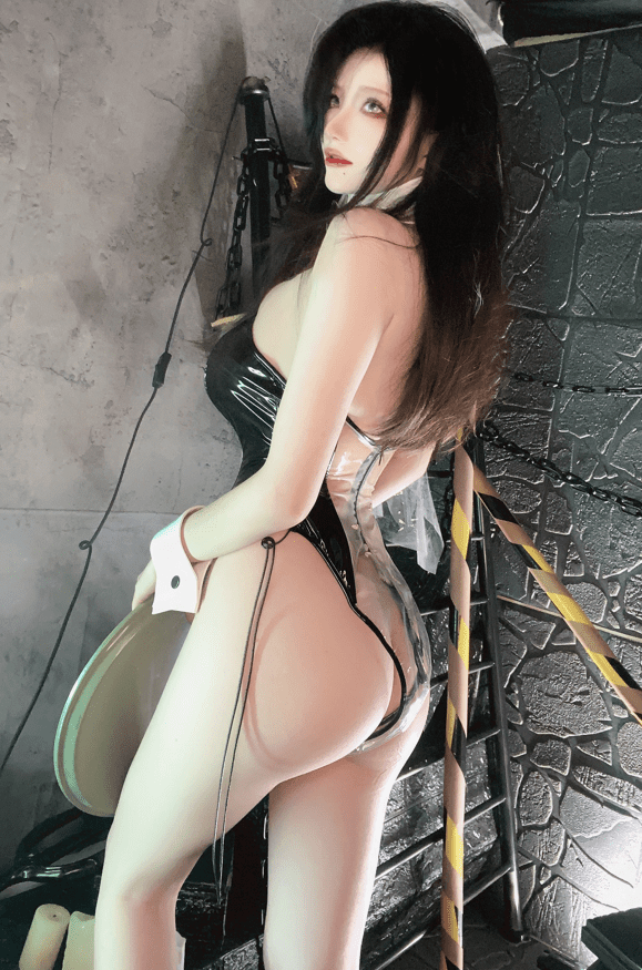 起司块wii–NO.030 透明兔女郎[33p-85MB]预览图 2