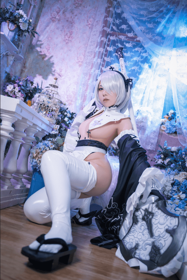 虎森森 – 2B女仆 [15P-78MB]预览图 3