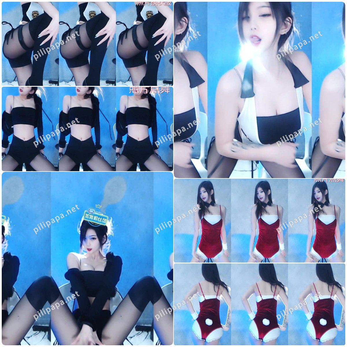 [合集]网易CC主播千代子子舞蹈合集一[46v/9.2G]预览图 2