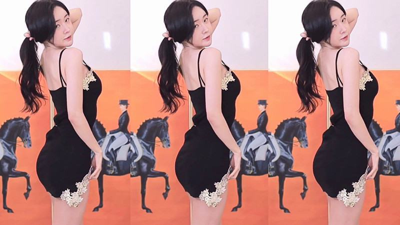 [主播]韩国BJ比丘2022年08月录制合集预览图 3