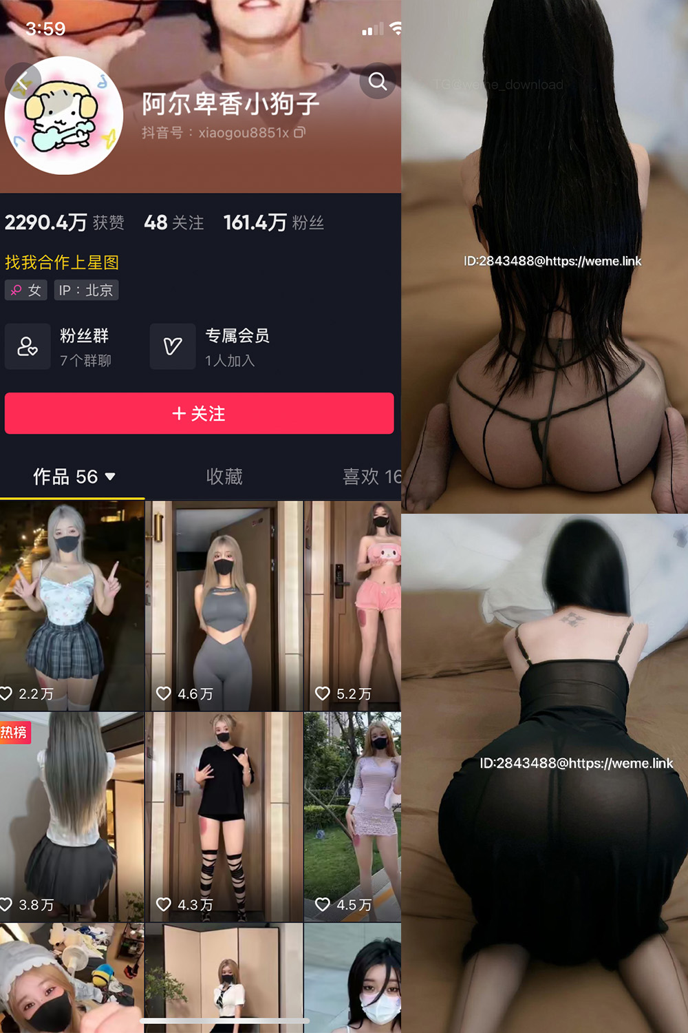 阿尔卑香小狗子 微密圈 NO.057期 最新至：2024.9.3