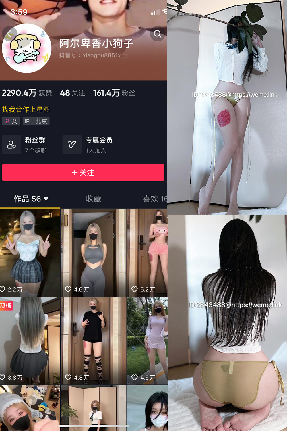 阿尔卑香小狗子 微密圈 NO.047期 最新至：2024.6.10