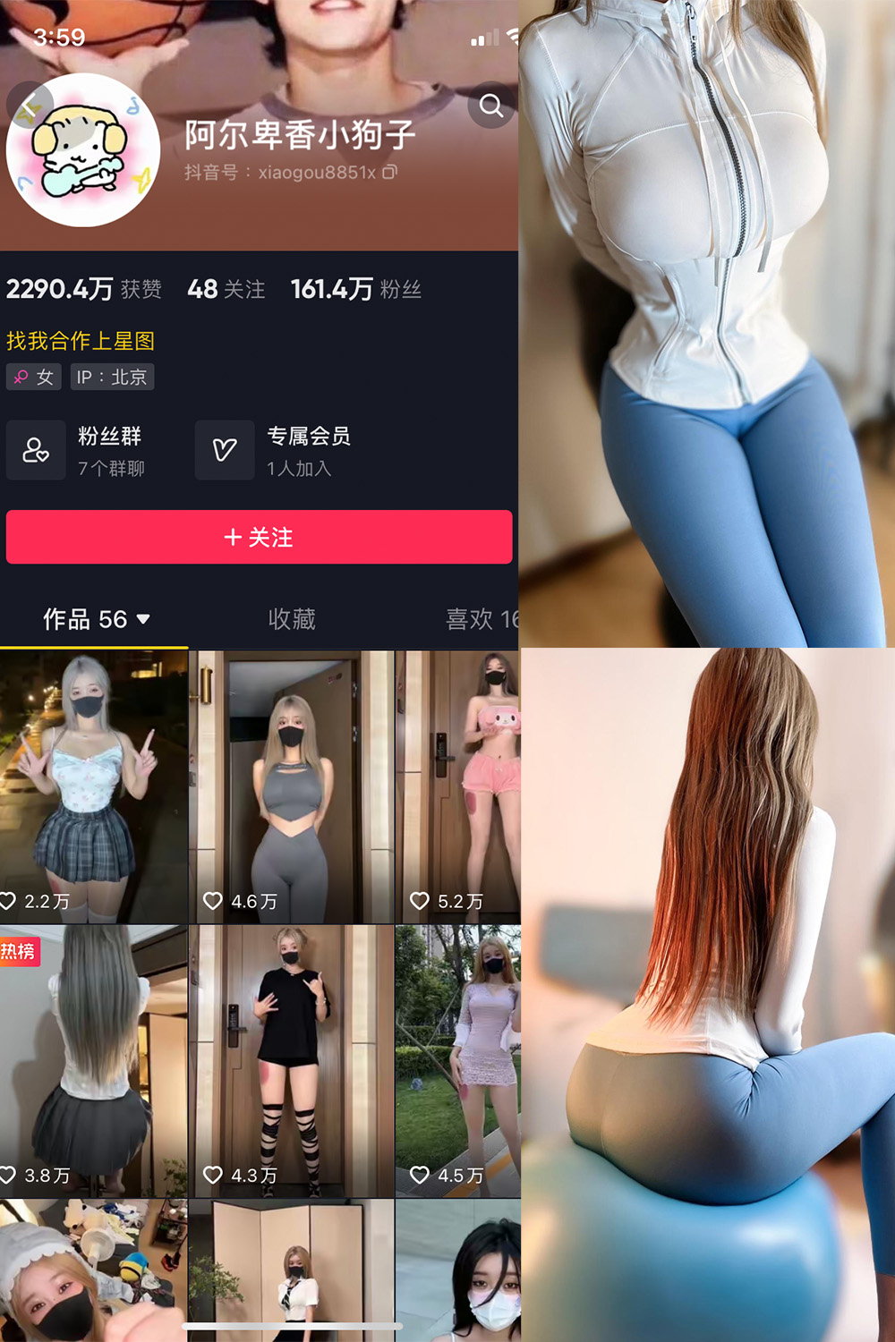 阿尔卑香小狗子 微密圈 NO.029期 最新至：2023.10.2