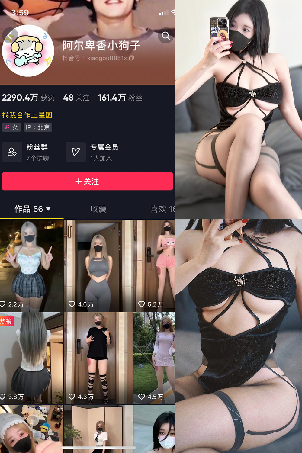 阿尔卑香小狗子 微密圈 NO.046期 最新至：2024.6.9