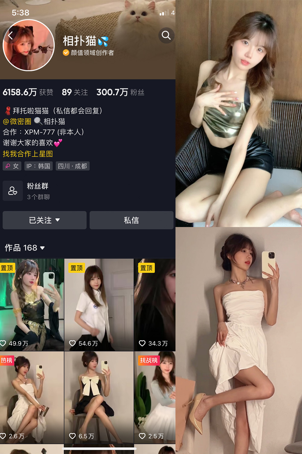 相扑猫 微密圈 NO.002期预览图 1 相扑猫 微密圈 NO.002期预览图 1