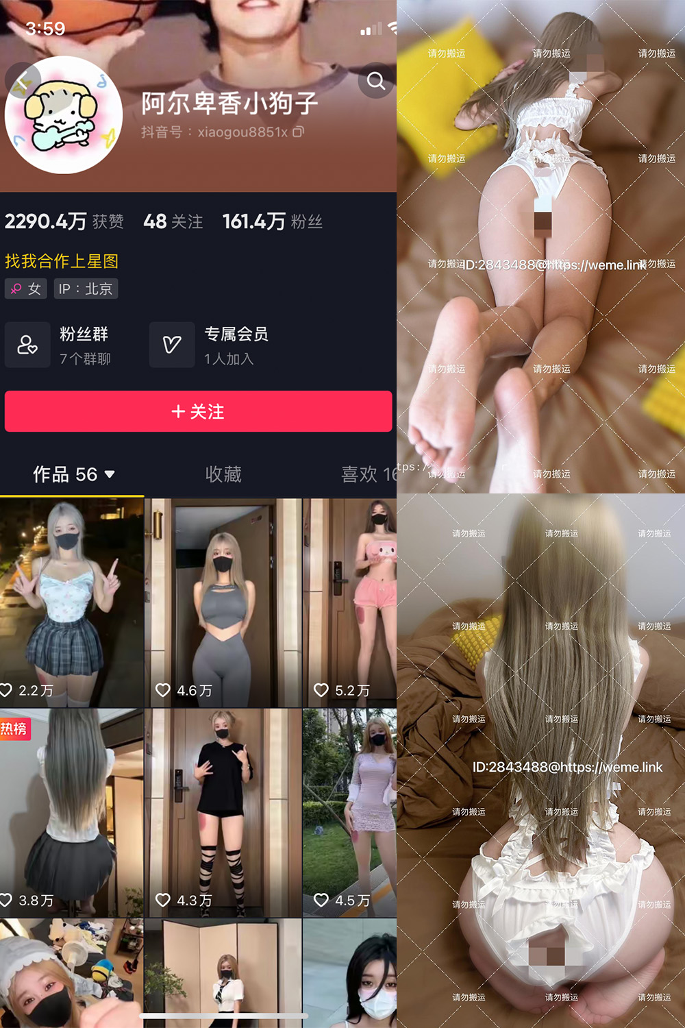 阿尔卑香小狗子 微密圈 NO.018期 最新至：2023.8.14