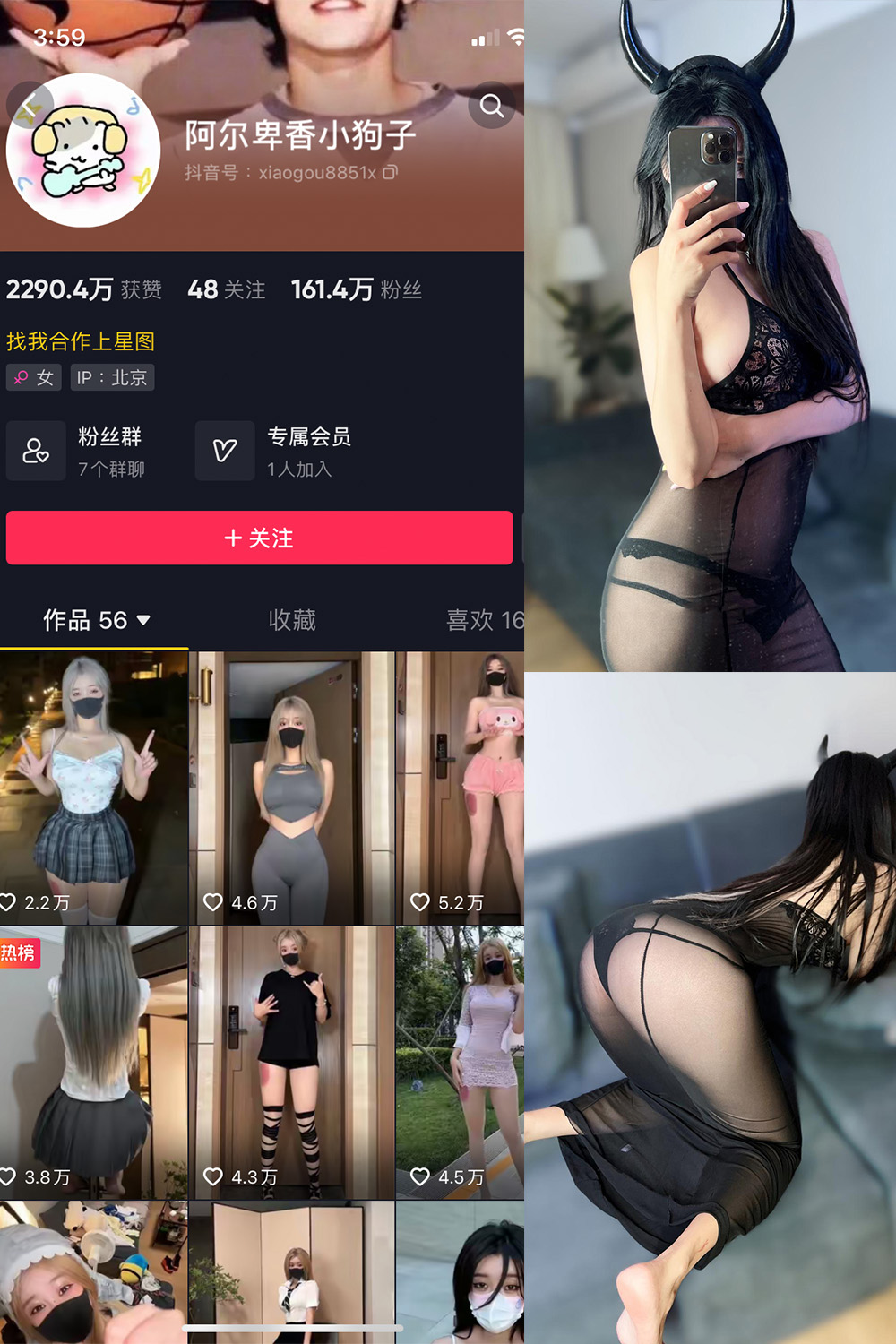 阿尔卑香小狗子 微密圈 NO.055期 最新至：2024.8.18