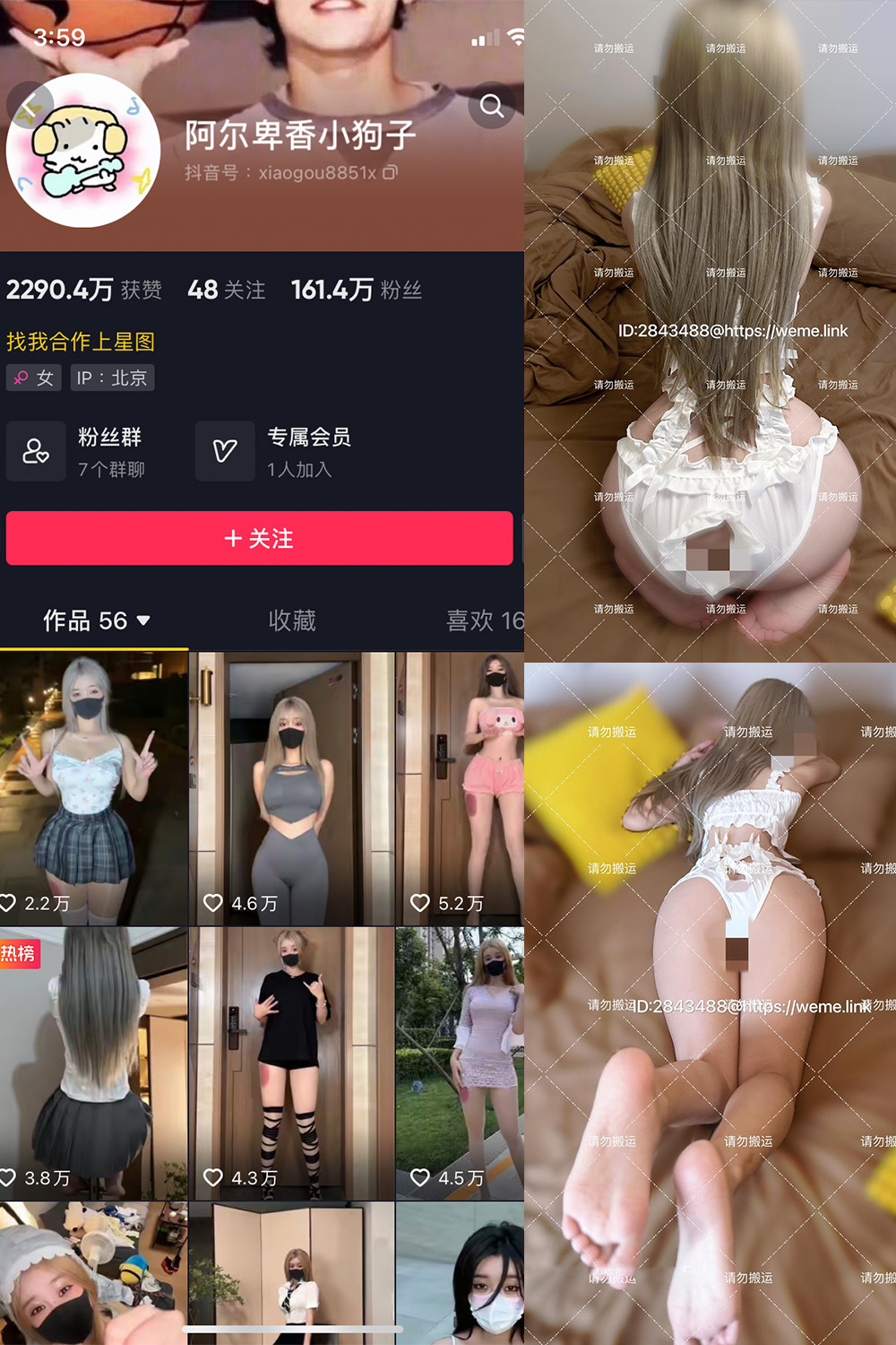 阿尔卑香小狗子 微密圈 NO.054期 最新至：2024.8.9