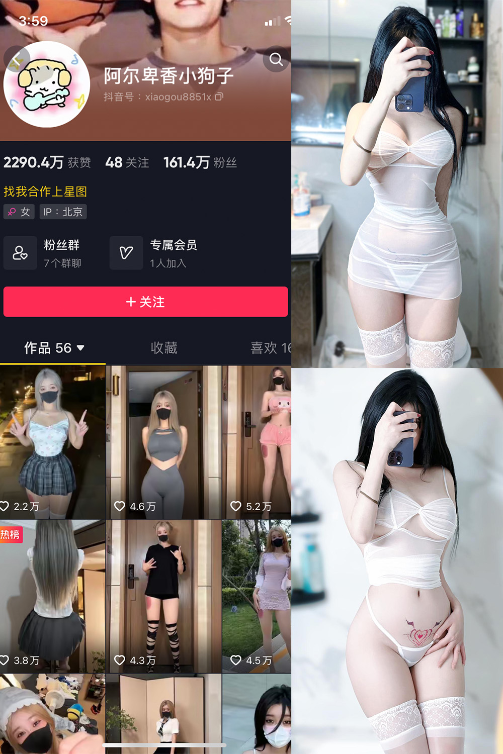 阿尔卑香小狗子 微密圈 NO.022期 最新至：2023.9.7