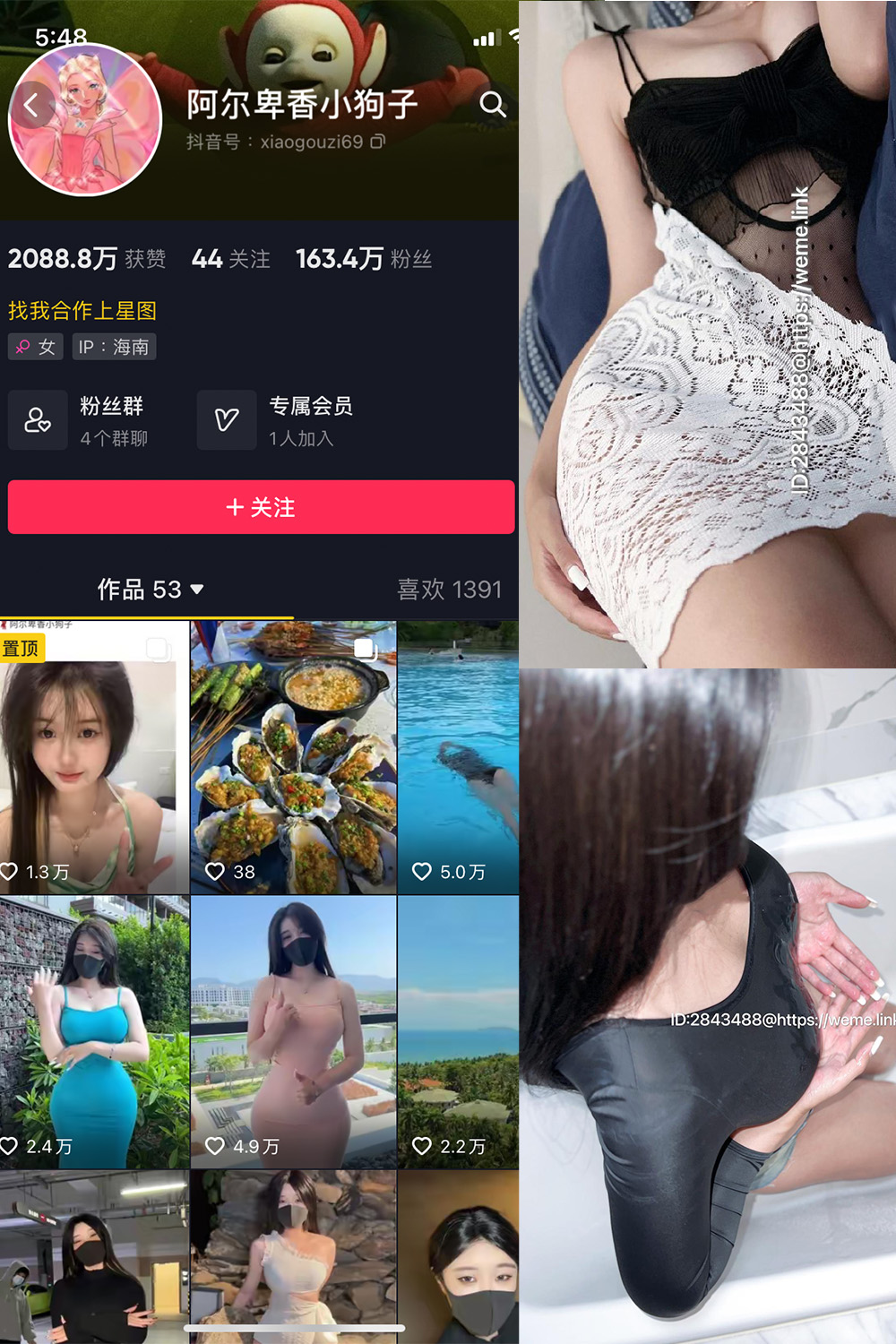 阿尔卑香小狗子 微密圈 NO.011期 最新至：2023.7.6