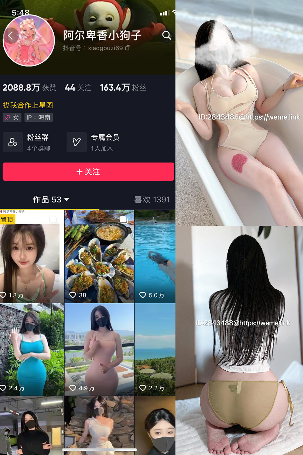 阿尔卑香小狗子 微密圈 NO.013期 最新至：2023.7.31