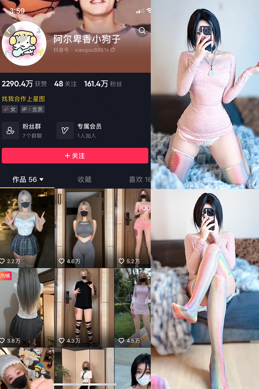 阿尔卑香小狗子 微密圈 NO.035期 最新至：2023.10.23