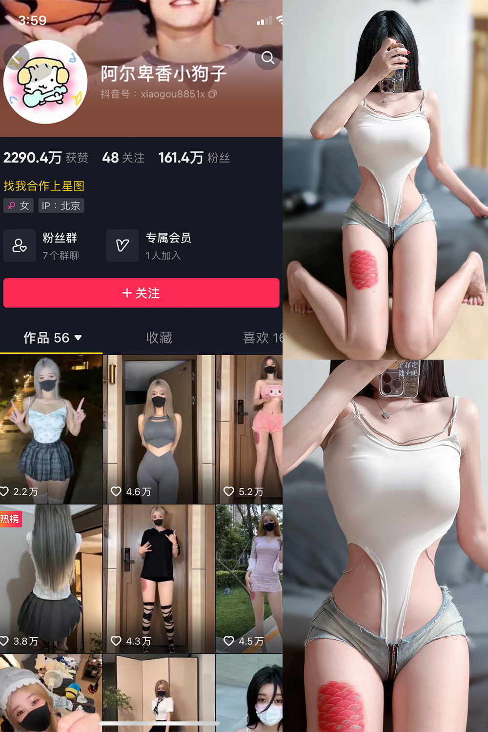 阿尔卑香小狗子 微密圈 NO.020期 最新至：2023.8.23