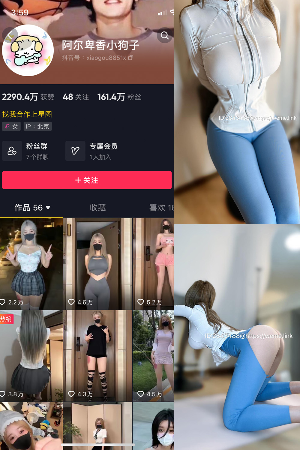 阿尔卑香小狗子 微密圈 NO.017期