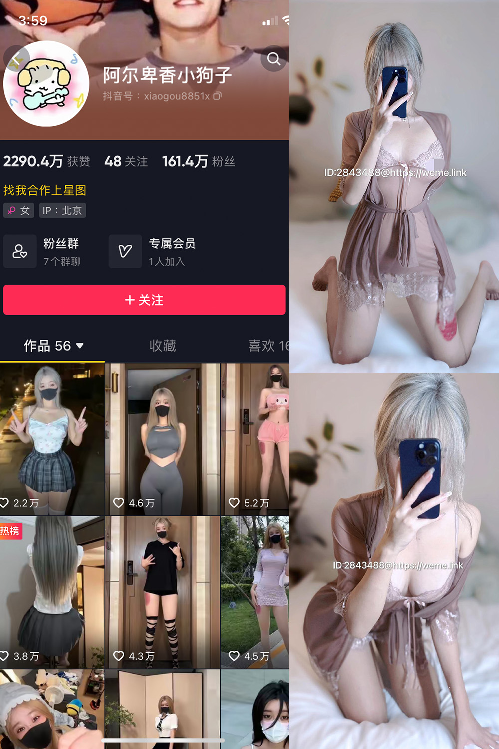 阿尔卑香小狗子 微密圈 NO.016期