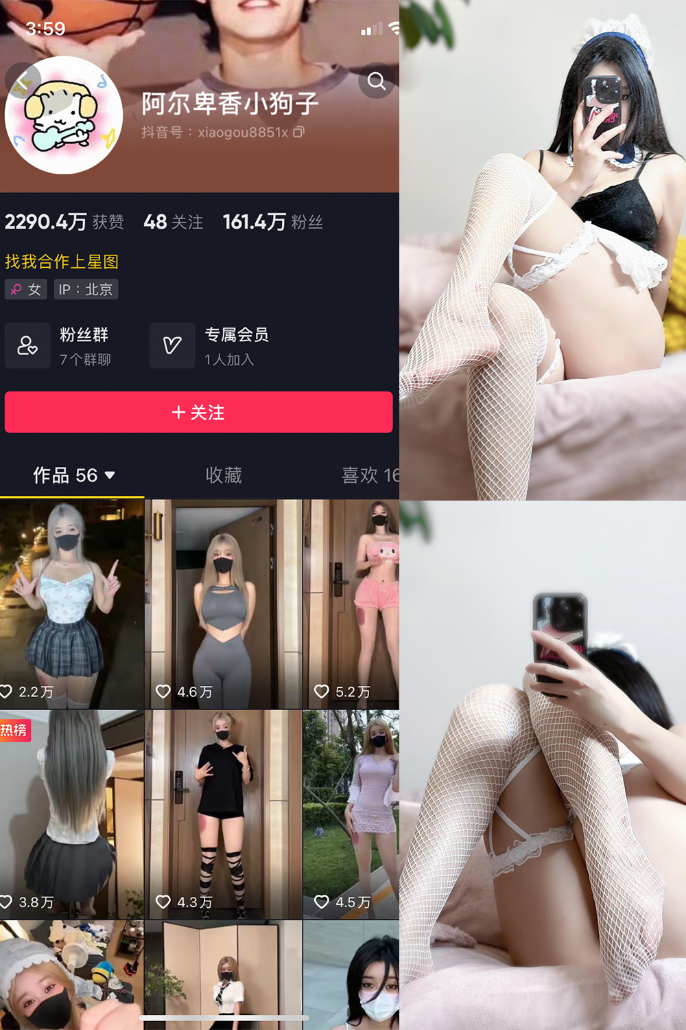 阿尔卑香小狗子 微密圈 NO.033期 最新至：2023.10.16