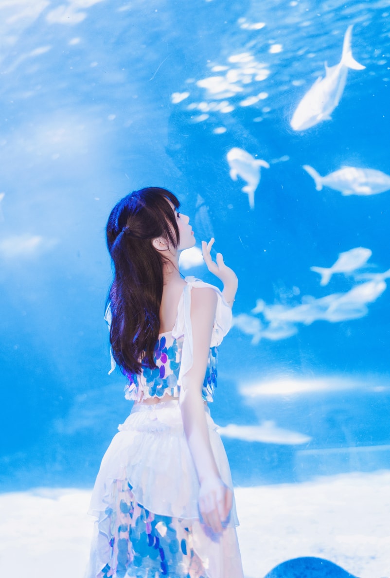 77d3fc444b4c403 77d3fc444b4c403