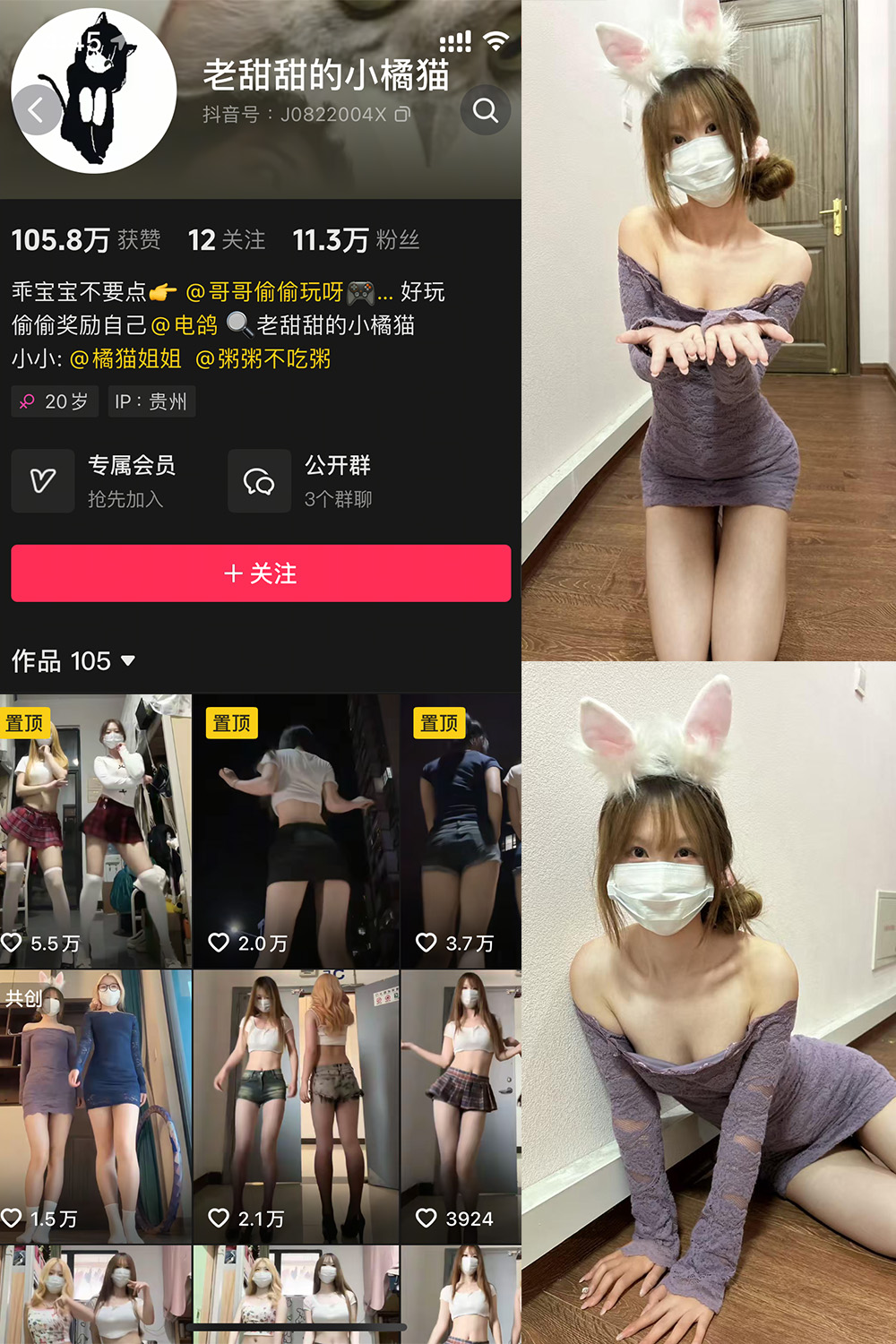老甜甜的小橘猫