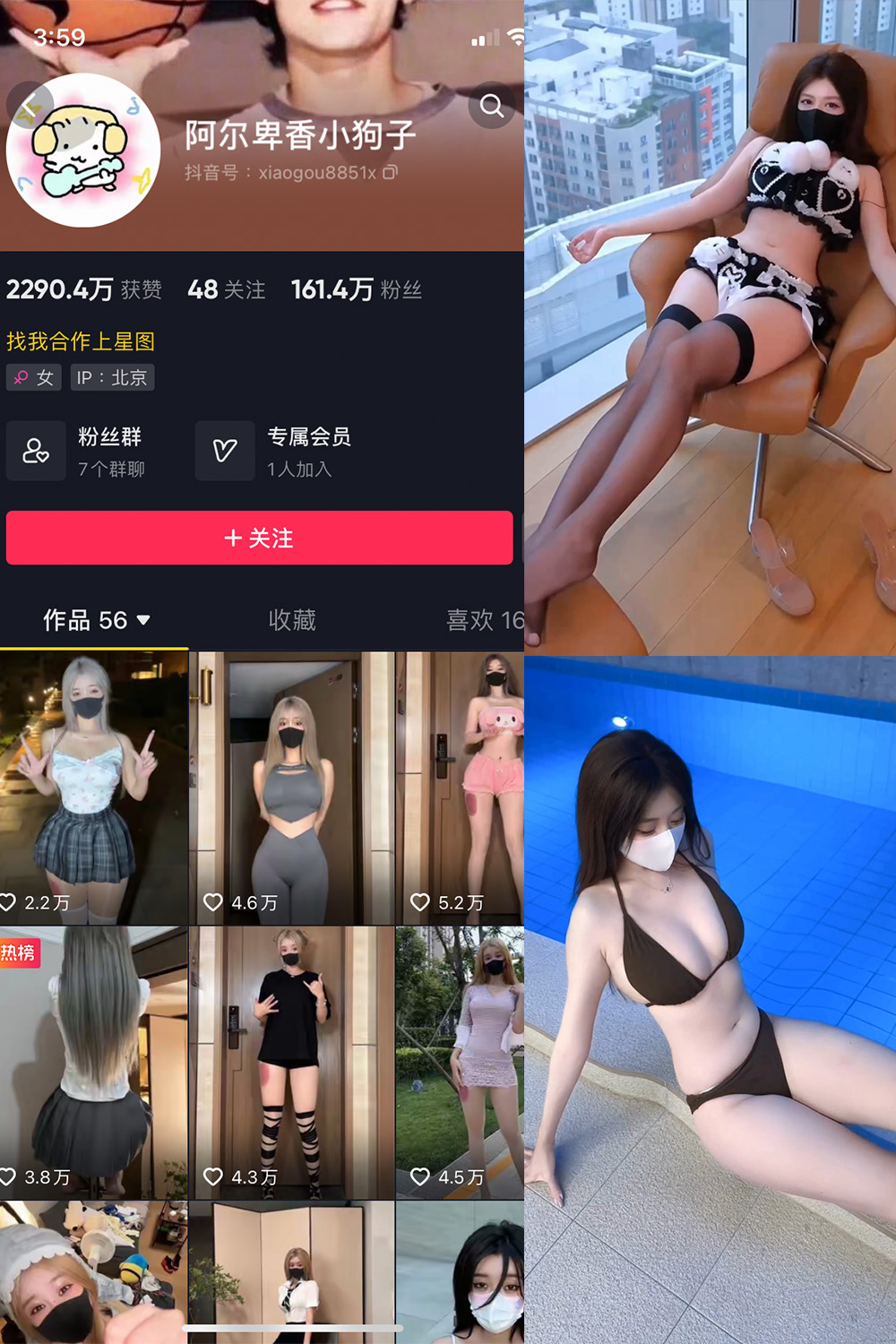 阿尔卑香小狗子 微密圈 | 觅圈 NO.062期 最新至：2025.5.22