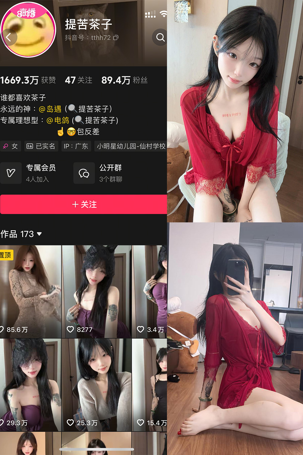 提苦茶子 岛遇 NO.006期 最新至：2025.8.12